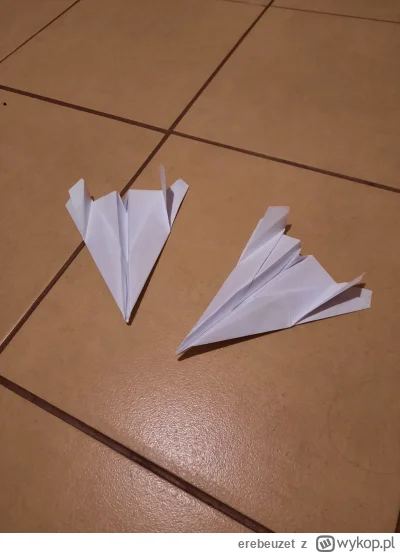 erebeuzet - Zrobiłem wczoraj córce samolot z papieru i wzięła do przedszkola.  Dzis j...