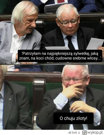 dr3vil - #sejm #polityka #heheszki