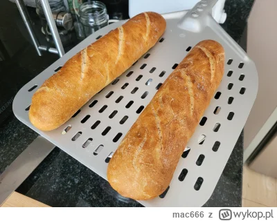mac666 - Zachciało mi się pieczenia chleba. Tego jeszcze nie bylo. Także ten... pierw...