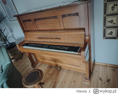 Hissis - Lubię się napić wódki, zasiąść sobie wygodnie i wyrazić na klawiszach, to co...