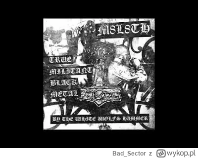 Bad_Sector - #blackmetal