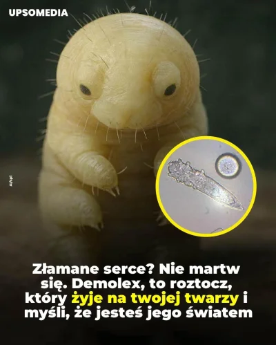 Besalama - Nie jesteś sam, someone loves you (｡◕‿‿◕｡)
#heheszki #zwiazki