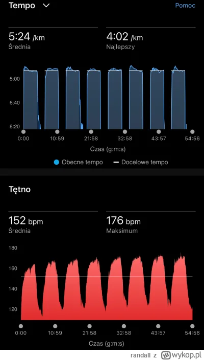 randall - Piły do oceny