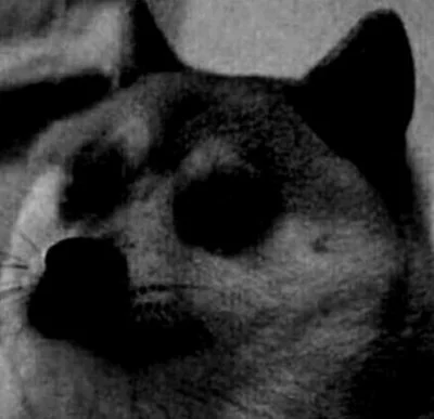 LRF1000W - Oglądałem Ranczo i  mnie nostalgia złapała ( ͡° ʖ̯ ͡°)
#gownowpis