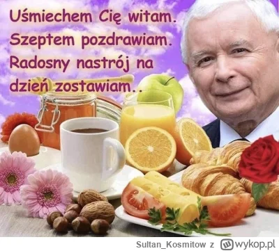 Sultan_Kosmitow - @Hellicon