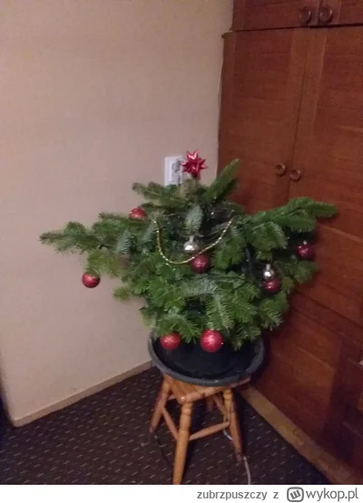 zubrzpuszczy - Oceńcie choinkę huopa, 3 lata temu wsadziłem odpadowego sztobra do don...