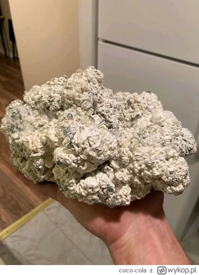 coco-cola - Ponad 0.5 kg Enigmy. Obecnie chyba najsilniejszego grzyba psylocybinowego...