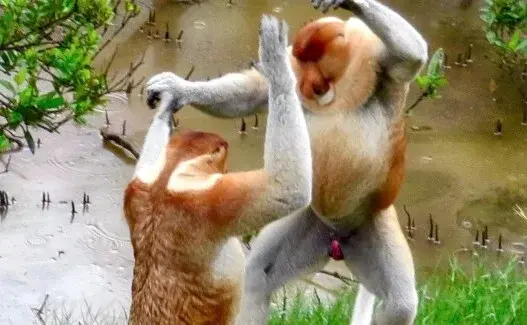 RitmoXL - @winsxspl: ( ͡°( ͡° ͜ʖ( ͡° ͜ʖ ͡°)ʖ ͡°) ͡°)