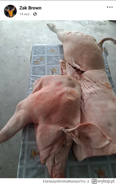 EtenszynDrimzKamynTru - Co ten Zak xDDD


#f1