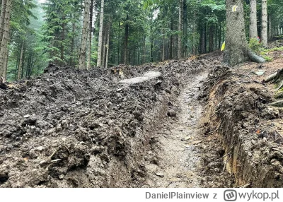 DanielPlainview - Lasy nie zatrzymałyby fali powodziowej po opadach rzędu 300mm, ale ...