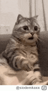 siodemkaxx - #rolnikszukazony ale jak to julie