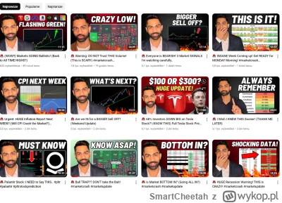 SmartCheetah - #gielda xD

Cykl clickbaitowego straszyciela domknięty