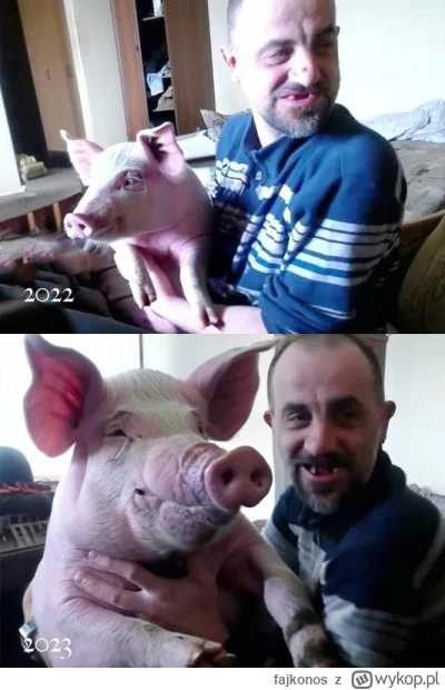 fajkonos - @Fatalista1988: