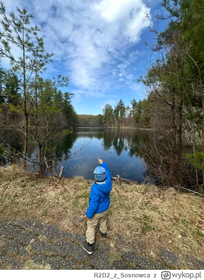 R2D2zSosnowca - Naugatuck State Forest #connecticut 
#r2d2zwiedza #natura #usa