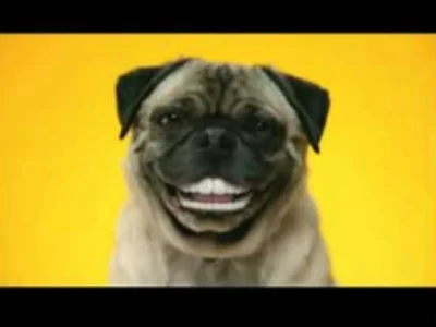 Koner1391 - @filip9111111: