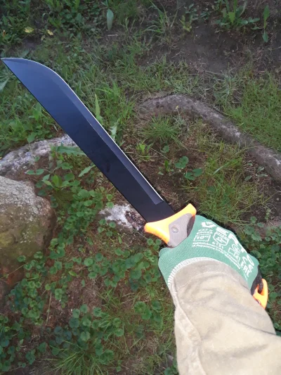 Bagnetemmoimfrancuskim - #przegryw 
Huop typu maczetnik (⌐ ͡■ ͜ʖ ͡■)
SPOILER