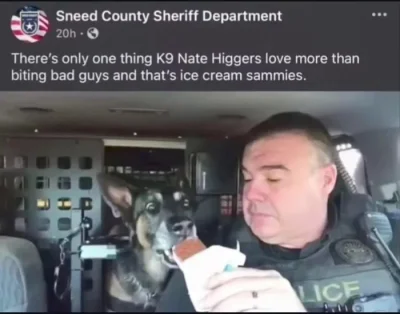 wfyokyga - Piesiulek