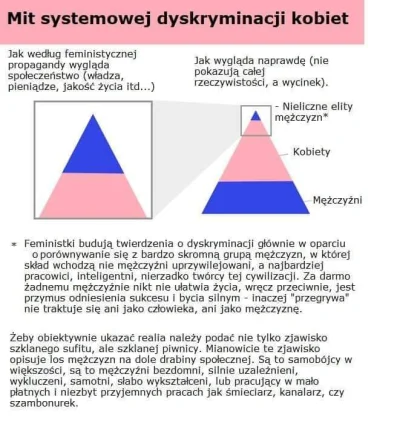 plot_PGR - Ta grafika dobrze wyjaśnia postawy głównonurtowego feminizmu, w tym tych r...