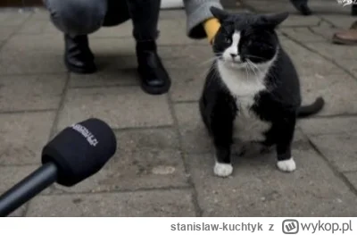 stanislaw-kuchtyk - #kononowicz 
14 letnia Zosia przerywa milczenie #patostreamy