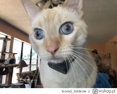 leonid_bialkow - @Graner: hejsia