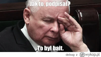 debug - #heheszki #polityka