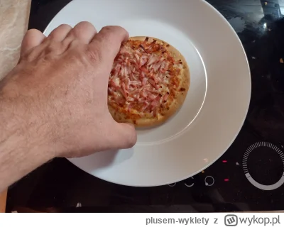 plusem-wyklety - #gotujzwykopem  #pizzaportal