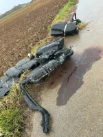 Makowiecky - Odkąd zamieszkałem na wsi nic nie w-----a mnie tak bardzo jak wieśniaki....