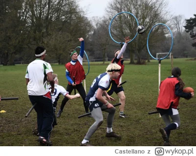 Castellano - Poszukuję ludzi do drużyny Quidditcha. Drużyna składa się z minimum 7 za...