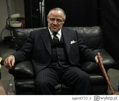 agent733 - #bystrzaktv