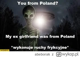 abeborak - @Nighthuntero