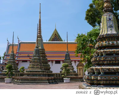 ziolo22 - Świątynia Wat Pho w Bangkoku