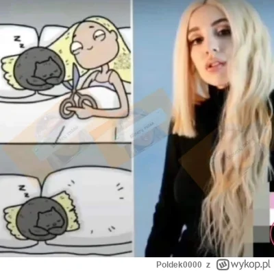Poldek0000 - #koty