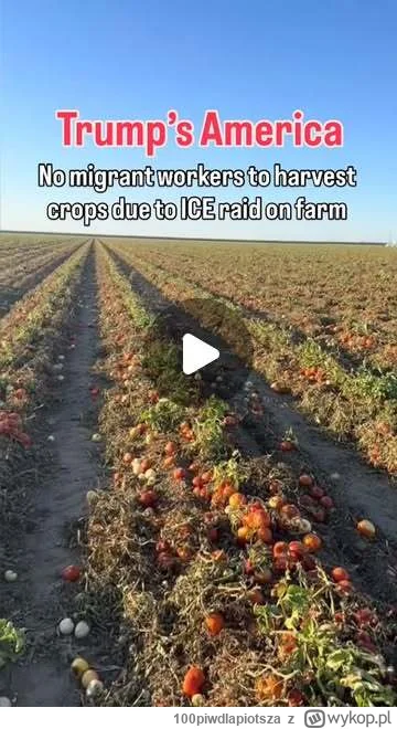 100piwdlapiotsza - Make america great again (╯°□°）╯︵ ┻━┻

#polityka #trump #ameryka #...