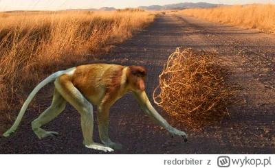 redorbiter - #konkursnanajbardziejgownianymemznosaczem