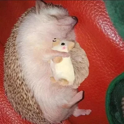 wybryk_natury - #zlodziejskiewybryki