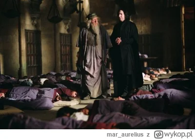 mar_aurelius - #harrypotter wykopki sobota 23:17