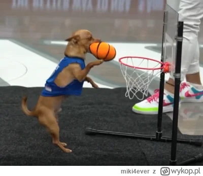 miki4ever - @WojtASR: Shaqascooby GOAT