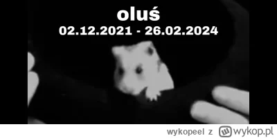 wykopeel - R.I.P. OLUŚ

#elagawin 
#malubaa
#patostreamy
#danielmagical
-----
Źródło:...