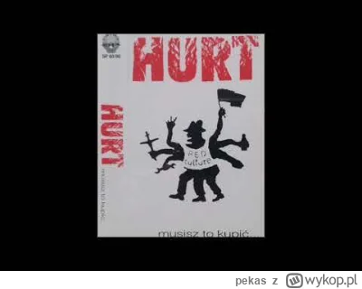 pekas - #rock #muzyka #polskamuzyka #hurt #alternativerock

Hurt - Musisz to kupić......