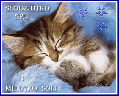 Multipurpose_Labels - Wystarczy internetów na dzisiaj. Dobranoc wykopki kotki i pepki