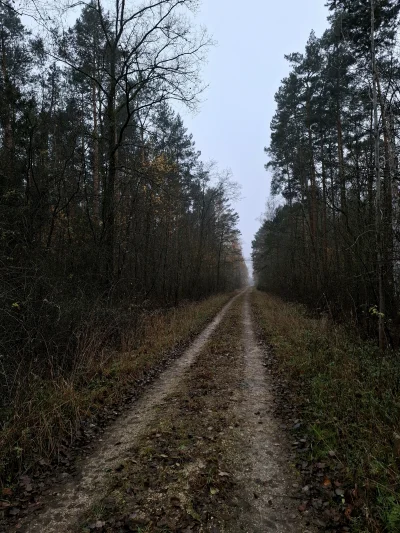 Gontyn- - #przegryw #spierdotrip