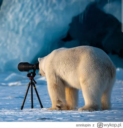 annlupin - @wfyokyga: