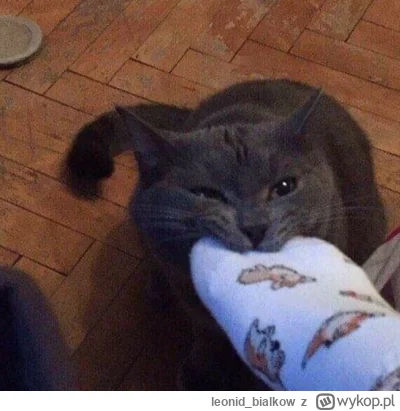 leonid_bialkow - HAAAPS