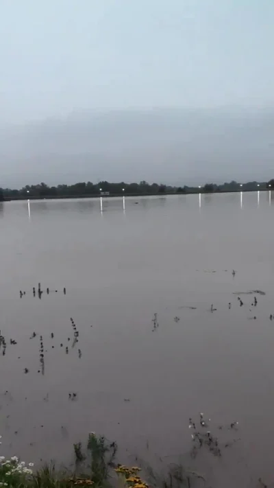 CH3j - Nysa Kłodzka w Lewinie Brzeskim na godzinę 7:00 w wałach.   #lewinbrzeski #nys...