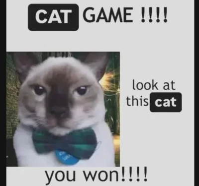 Atreyu - #koty #kitku #rozdajo #zadarmo #glupiewykopowezabawy