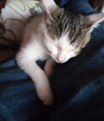 Tyvvv-vvvyT - @simpiara: