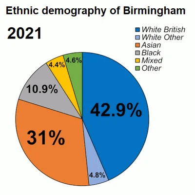 osetnik - Demografia Birmingham.