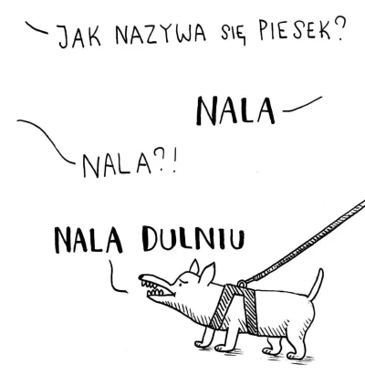 Dolarodstrony_przepompowni - #psiarze #psiecko #psiegryw #heheszki