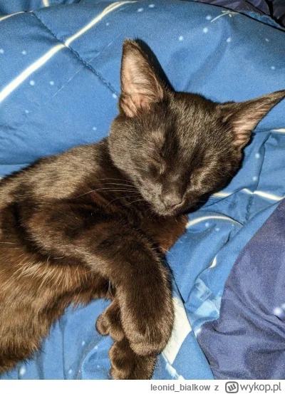 leonidbialkow - @CorvusFrugilagus: cze dla latajoncego