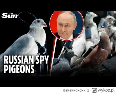 Kskskkdkdkk - > Wroble cwierkaja

@naokimistrzapjo: to nie wróble tylko zdalnie stero...